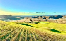 👑 AGRICULTURAL GREATNESS | 1/4 ACRE IN KETTLEMAN CITY, CA