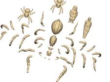 Giant Spiders ⏣ 4 spiders and 2 victims ⏣ LOTR ⏣ Scifi ⏣ Wargames Atlantic