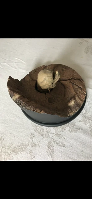 Star Wars Sideshow This Is No Cave 1226/2000 épisode 5 figurine - Photo 4/4