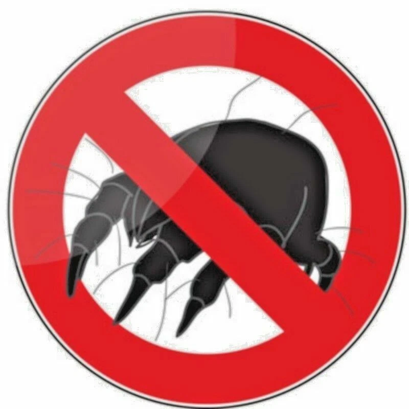 Protège-matelas alèse molleton imperméable respirant silencieux H30 qualité Pro - Photo 3/4