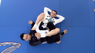 Mastering the Twister: Jiu Jitsu for Mixed Martial Arts
