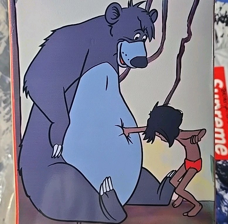 plan B 1993 sean sheffey ビンテージ 90s レトロRare PLAN B Sean