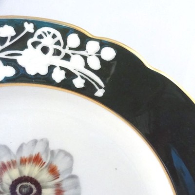 ANEMONE by Spode LUNCHEON PLATE NEW NEVER USED made in