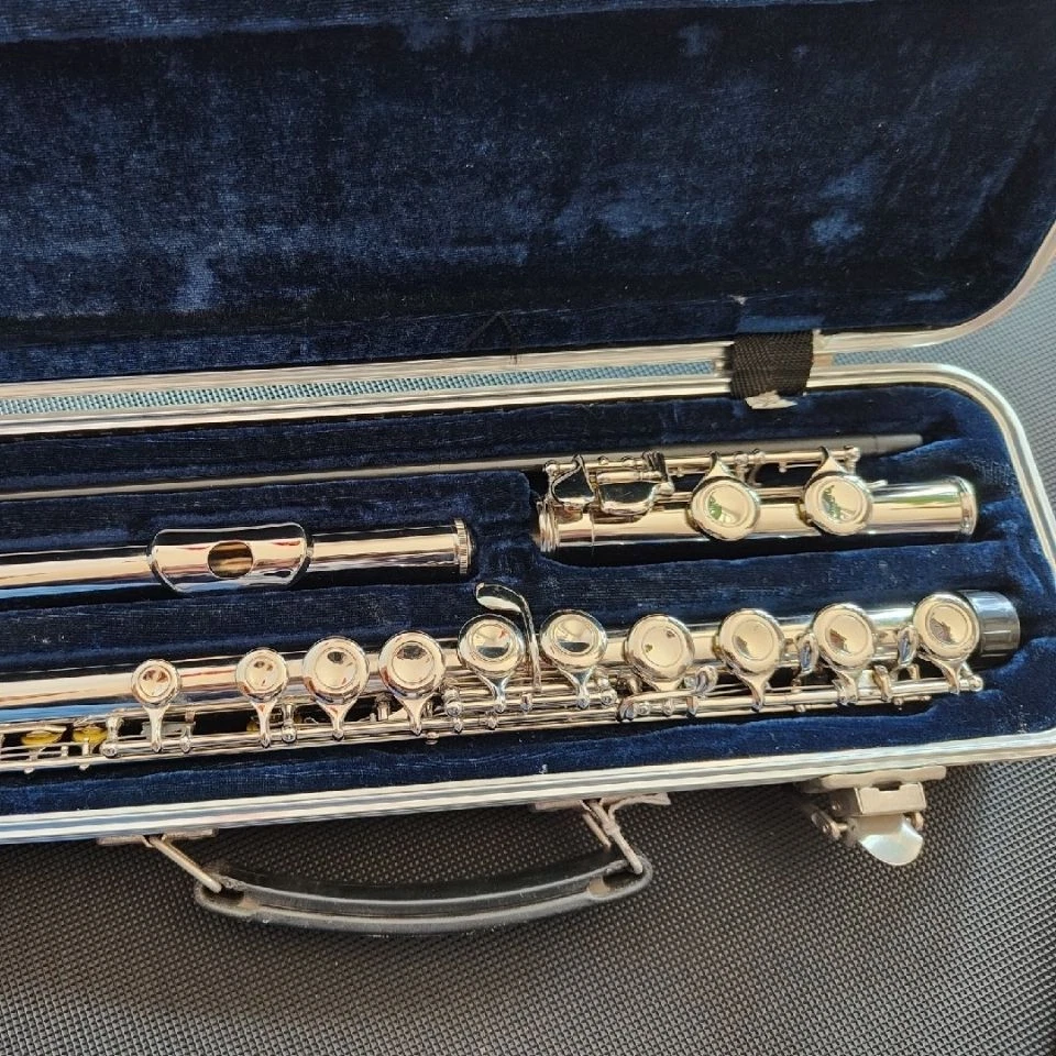 Best professional flute deals