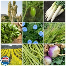 No-Till Forage Friendly Cover Crop Seed Mix – 5 lb, Covers 1,000 Sq. Ft. – 9 