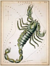 7954.Decorative Poster.Home room design decor.Scorpio.Horoscope.Astrology art