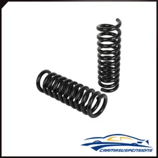 For Dodge Charger 2006-2010 Magnum 2005-2008 2pcs Rear LH & RH Coil Spring Set