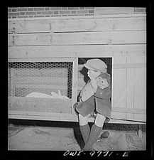 Photo:Washington DC Australian Legation Casey Son Rabbits 1942