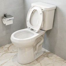 HOROW Two-Piece Toilet MAP 1000g Single Flush Round Bowl with ADA Chair Height
