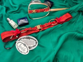 Bordelle Burnt Red Adjustable Belt One Size NWT