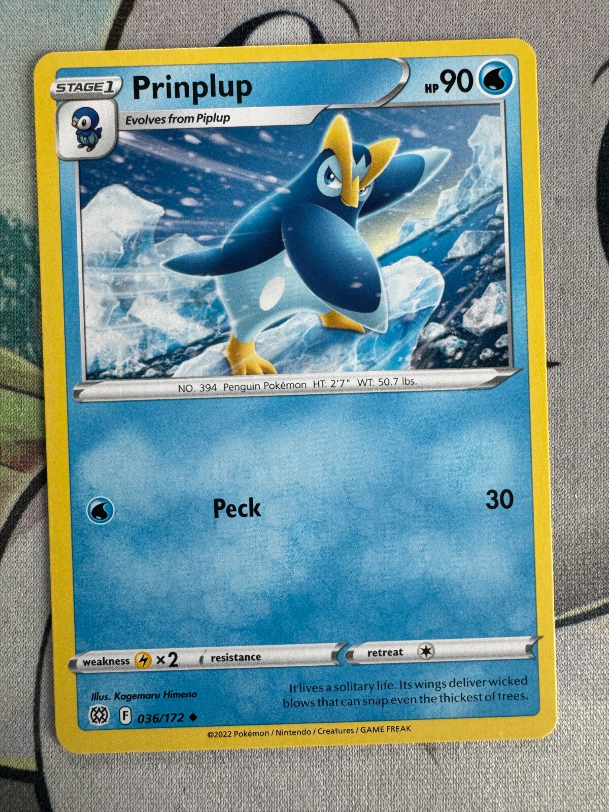 Prinplup Non-Holo English Pokemon TCG BKCB19