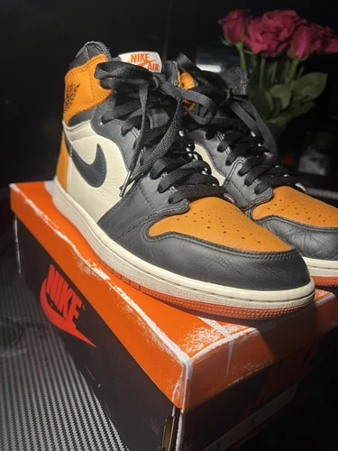 Air Jordan 1 Retro High OG SBB Shattered Backboard 1.0 Essential Basketball 2015