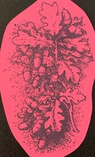 Rubber Stamp Fall Autumn Oak Branch Leaves And Acorns Unmounted