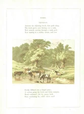 Original Old Antique Print Summer Cows