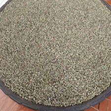 Natural Dried Oregano Leaves Pure Mediterranean Herb Spice for Cooking