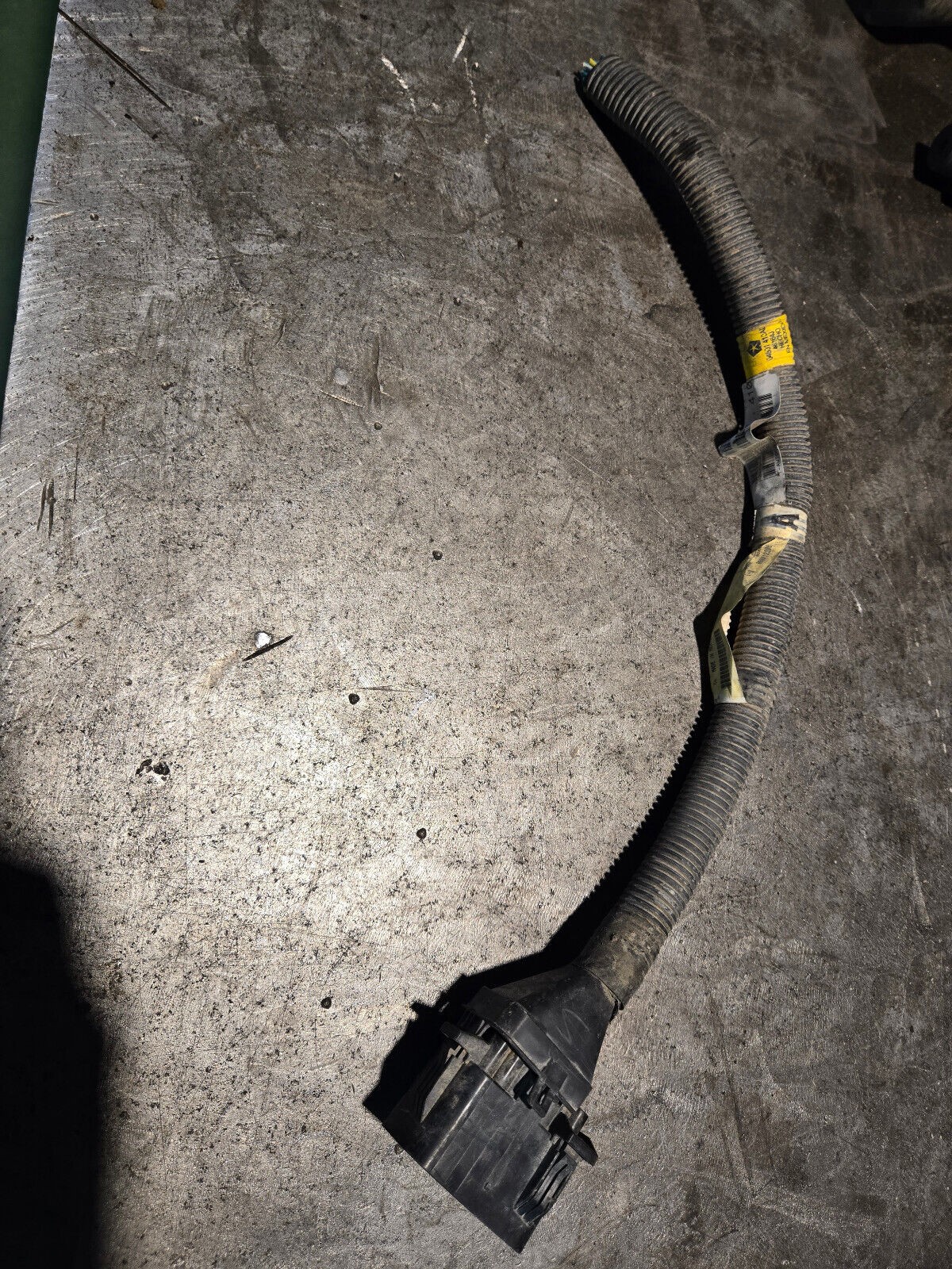 Picture 2
