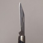Buck knives 309 Companion slipjoint pocket knife with silver bolsters, black handle, and engraved oval case on gray background.
