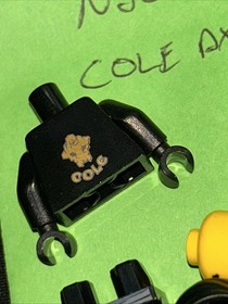 COLE Golden Weapons NJO0015 Lego Ninjago Minifigure From Set 2520