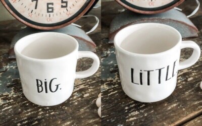Rae Dunn Boutique Coffee Espresso Short Mugs Set BIG & LITTLE Farmhouse VHTF