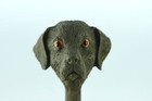 Bild 7 von 9