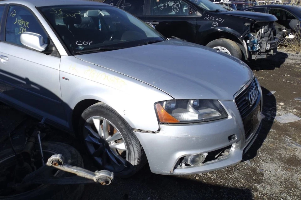 Parasol izquierdo conductor iluminado para AUDI A3 1706191 06-13 Foto 4 de 4