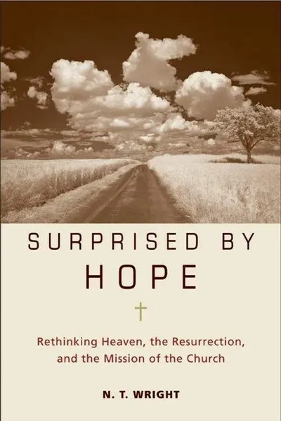 N T Wright | Surprised By Hope | Buch | Englisch (2011) | Gebunden-image