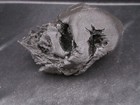 Bild 7 von 9