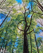 Acrylbild.Handgemalt. Leinwand. Wald im Frühjahr. 40x50cm