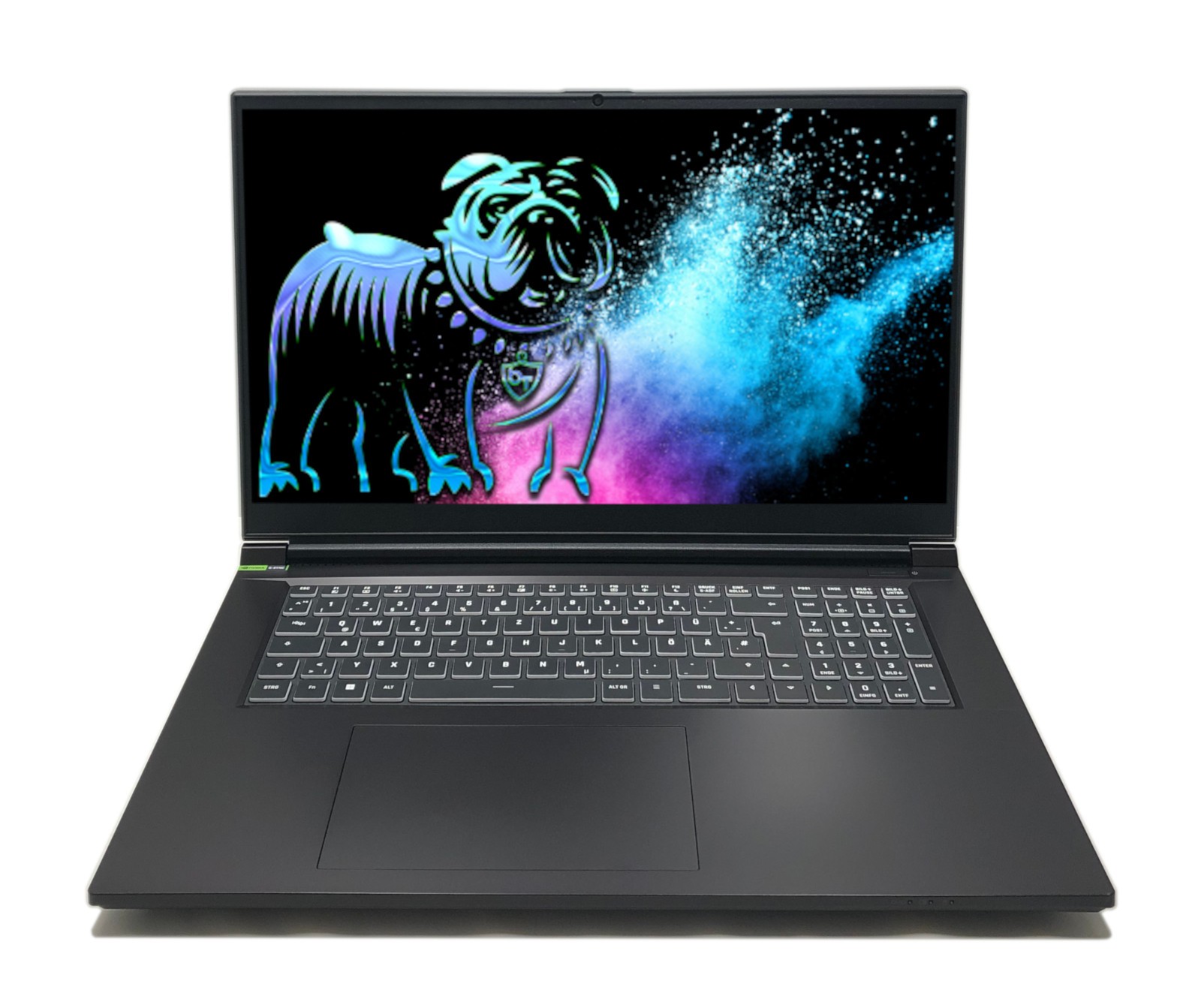 Schenker XMG Focus 17,3" QHD 240Hz i9-13900HX 32GB 1TB RTX 4050 G-Sync MUX W11P