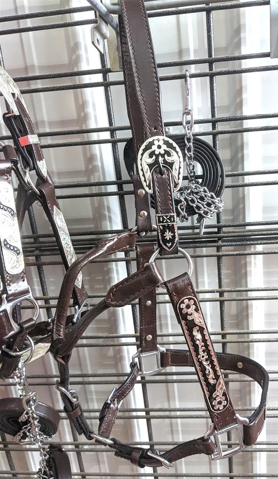 Halter Horse Silver Show - Acentos negros - Margaritas - Tamaño caballo - Plomo a juego Foto 2 de 4