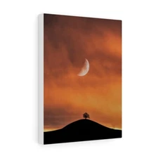Moonscape Satin Canvas, Stretched