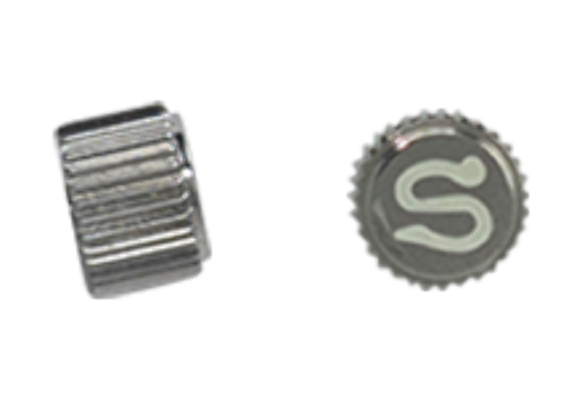 Clypeaster ravenelli　殻 SKX007/SRP Turtle Lumed Crown - CT209 Polished | eBay