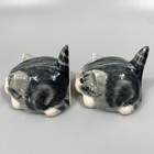 Foto 5 di 19