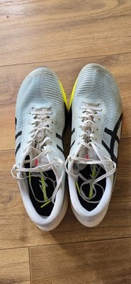 Asics Herren Metaspeed Edge Paris Laufschuhe Grau, Größe UK 9