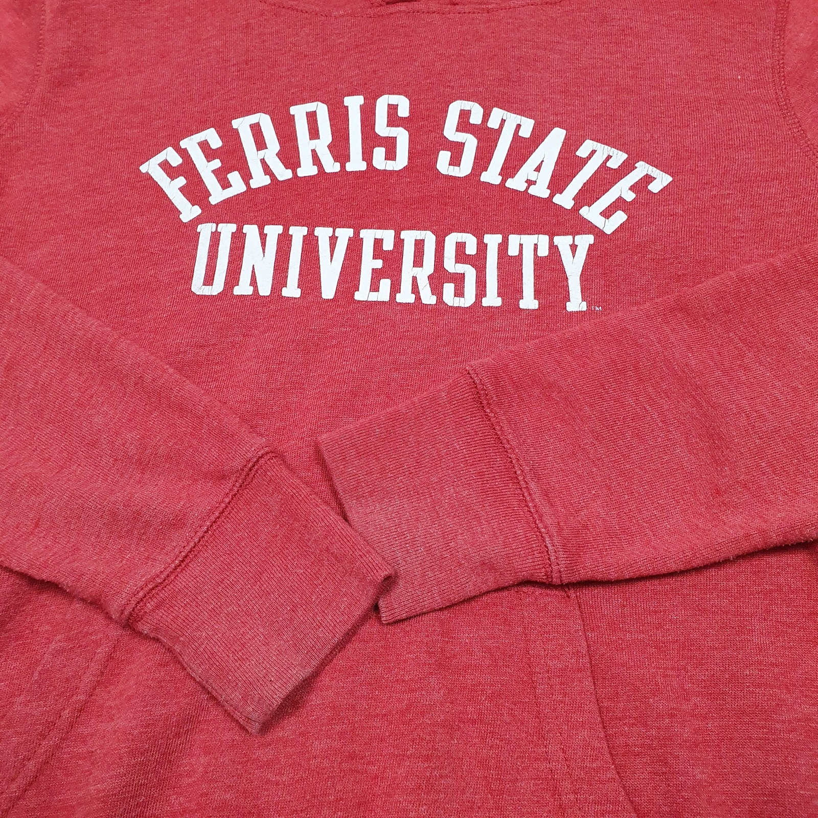REDSHIRT Hoodie Ferris State University Jumper Sweatshirt Womens M image 4
