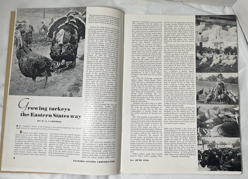 1936 Eastern States Co-Operator Magazine June Vintage Farm Turkeys Strawberry - Picture 4 of 6