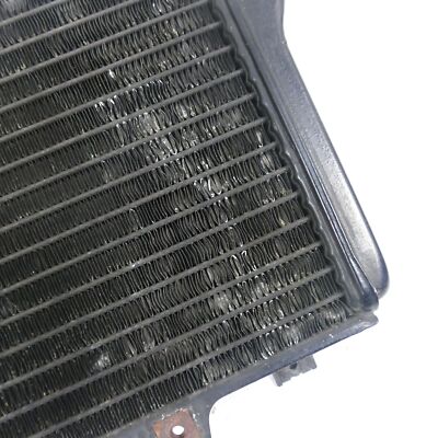 クローズ Kawasaki ZX-10 1000 B Year: 88 Radiator Fan Water Cooler 52723
