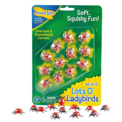 Insektenüberlieferung Lots O' Ladybirds Kinder Lernspielzeug Verzierungen