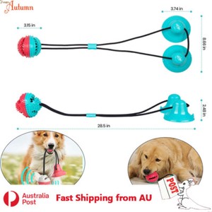 dog suction cup ball