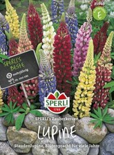 Auslauf MHD 01.2025 Lupinen SPERLING`s Zauberkerzen Saatgut Sonderangebot
