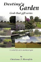 Christiana T. Moronfolu | Destiny's Garden | Taschenbuch | Englisch (2012)