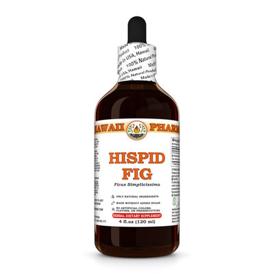 Hispid Fig / Wu Zhi Mao Tao (Ficus Simplicissima) Dried Root Liquid Extract