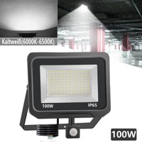 Led Fluter Mit Bewegungsmelder AußEn Strahler 100W Garten Lampe Scheinwerfer De