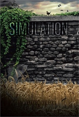 Simulation (Hardback or Cased Book)