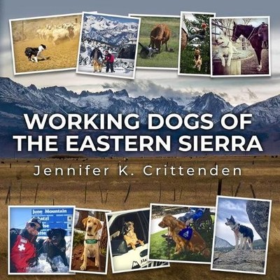 Jennifer K Crittenden Working Dogs of the Eastern Sierra (Taschenbuch)