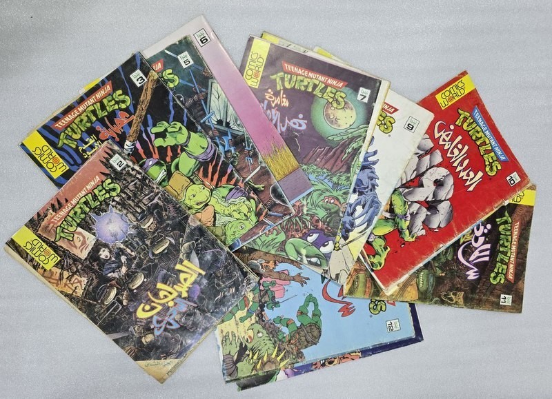 Lot of 12 Adventure Teenage Mutant Ninja Turtles Comics Magazine كومكس نينجا
