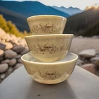 Vintage Pyrex Forest Fancies Mushroom Cinderella Mixing Bowls Set 3
