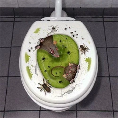 Halloween Celebration & Occasion Supplies