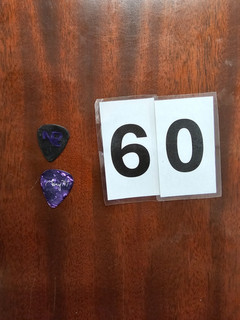 2 Prince/New Power Generation Guitar Picks used at Paisley Park
