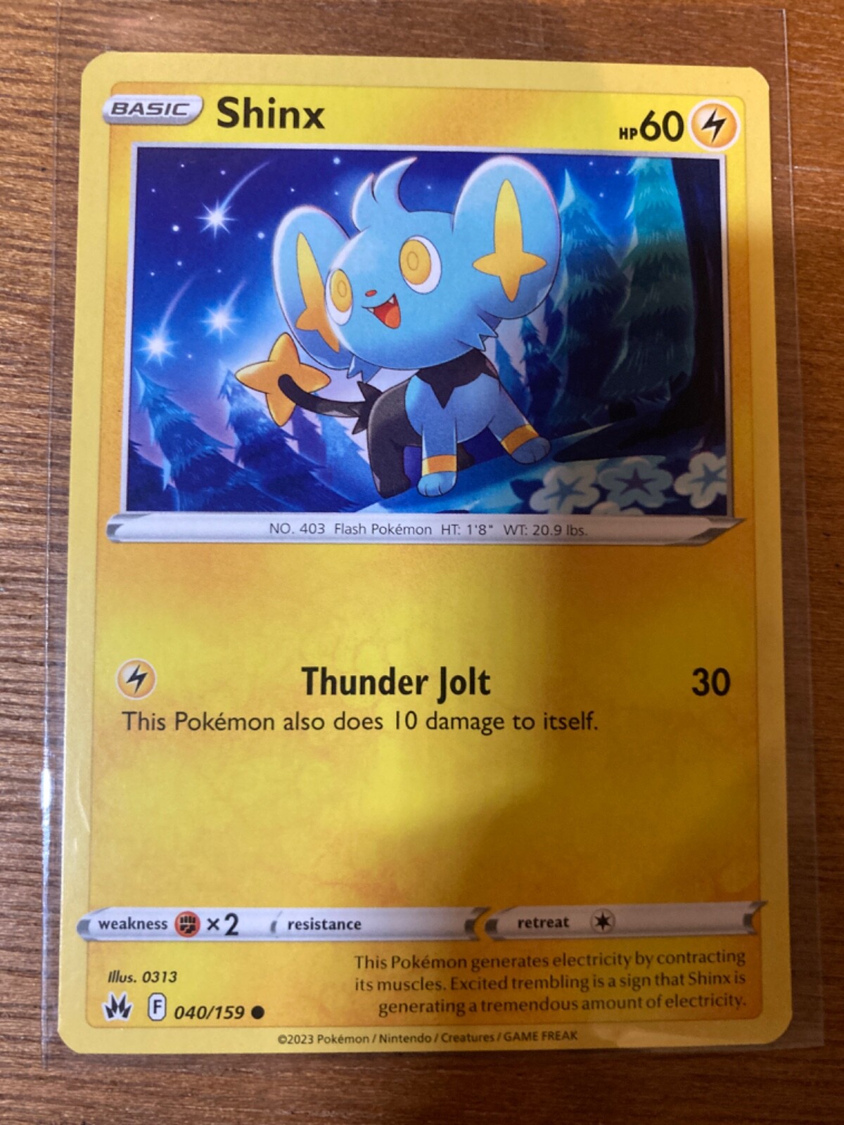 Bild 43 von 57